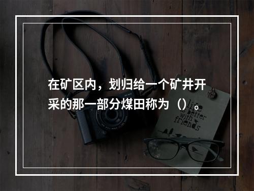 在矿区内，划归给一个矿井开采的那一部分煤田称为（）。