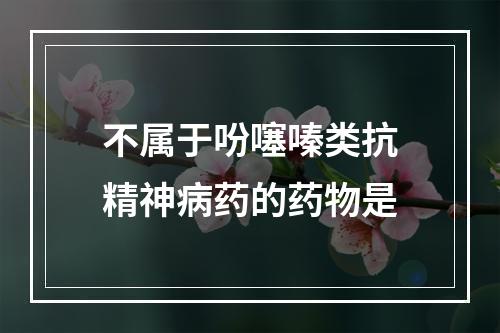 不属于吩噻嗪类抗精神病药的药物是