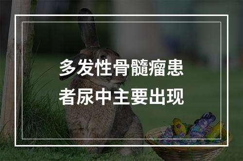 多发性骨髓瘤患者尿中主要出现