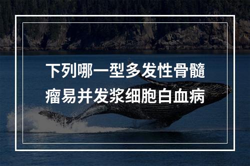 下列哪一型多发性骨髓瘤易并发浆细胞白血病