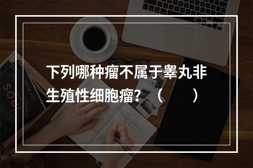 下列哪种瘤不属于睾丸非生殖性细胞瘤？（　　）