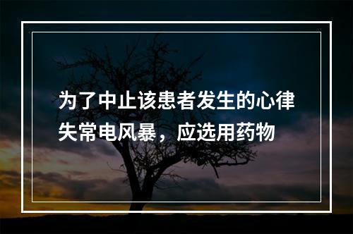 为了中止该患者发生的心律失常电风暴，应选用药物