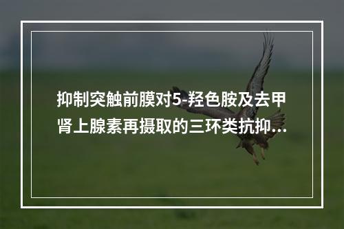 抑制突触前膜对5-羟色胺及去甲肾上腺素再摄取的三环类抗抑郁药