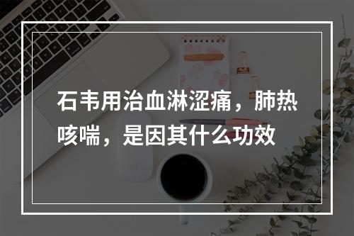 石韦用治血淋涩痛，肺热咳喘，是因其什么功效