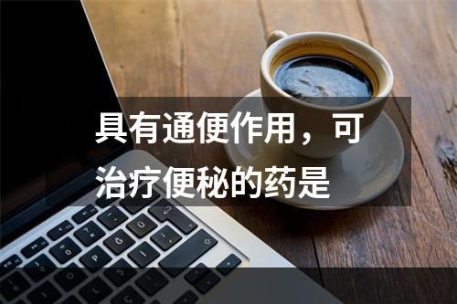 具有通便作用，可治疗便秘的药是