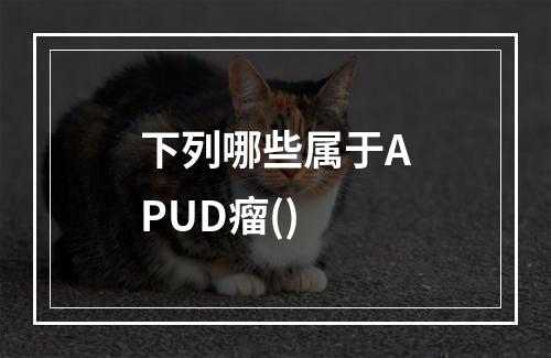 下列哪些属于APUD瘤()