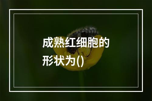 成熟红细胞的形状为()