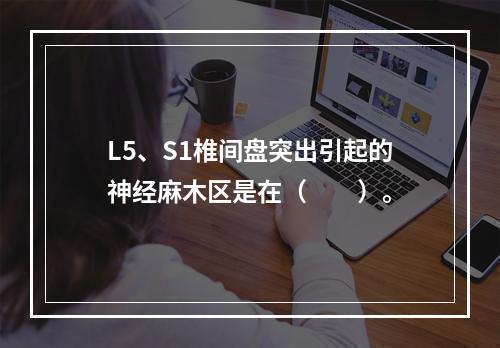 L5、S1椎间盘突出引起的神经麻木区是在（　　）。