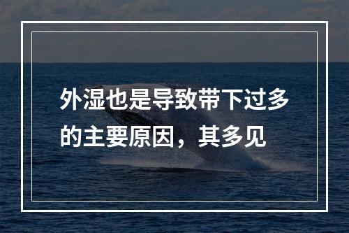 外湿也是导致带下过多的主要原因，其多见