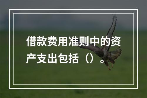 借款费用准则中的资产支出包括（）。