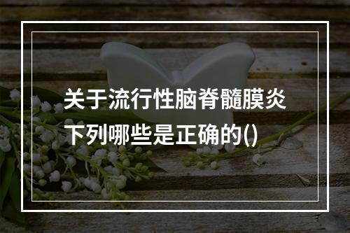 关于流行性脑脊髓膜炎下列哪些是正确的()