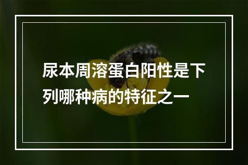 尿本周溶蛋白阳性是下列哪种病的特征之一