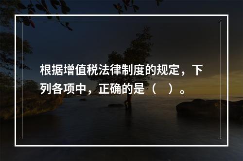 根据增值税法律制度的规定，下列各项中，正确的是（　）。