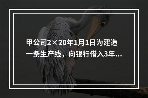 甲公司2×20年1月1日为建造一条生产线，向银行借入3年期外