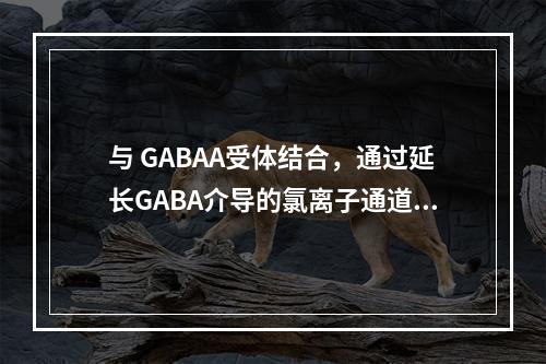 与 GABAA受体结合，通过延长GABA介导的氯离子通道开放