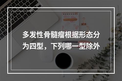 多发性骨髓瘤根据形态分为四型，下列哪一型除外