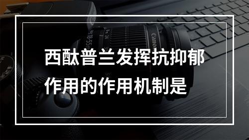 西酞普兰发挥抗抑郁作用的作用机制是