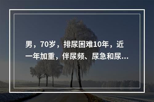 男，70岁，排尿困难10年，近一年加重，伴尿频、尿急和尿痛。