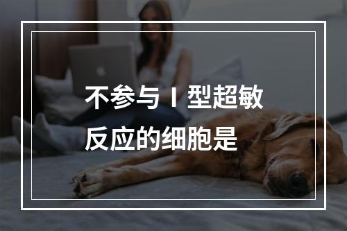 不参与Ⅰ型超敏反应的细胞是