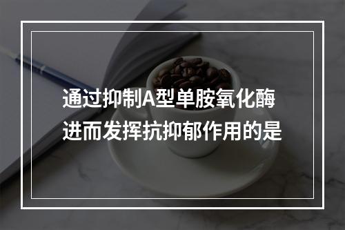 通过抑制A型单胺氧化酶进而发挥抗抑郁作用的是