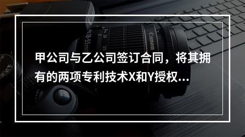 甲公司与乙公司签订合同，将其拥有的两项专利技术X和Y授权给乙