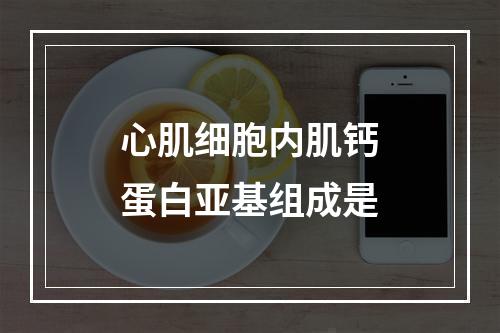 心肌细胞内肌钙蛋白亚基组成是