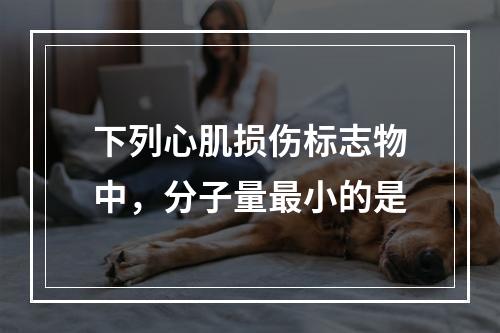 下列心肌损伤标志物中，分子量最小的是