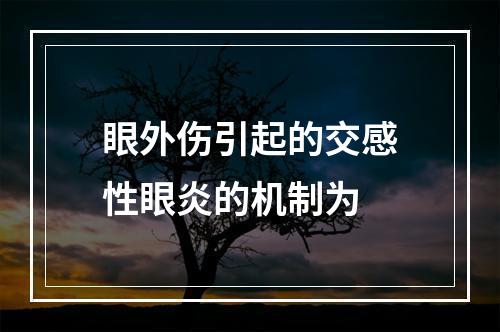 眼外伤引起的交感性眼炎的机制为