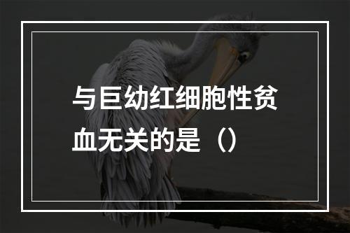 与巨幼红细胞性贫血无关的是（）