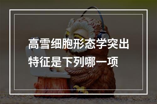 高雪细胞形态学突出特征是下列哪一项