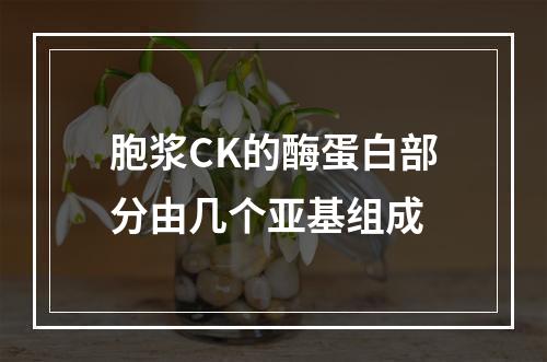 胞浆CK的酶蛋白部分由几个亚基组成