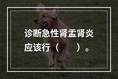 诊断急性肾盂肾炎应该行（　　）。