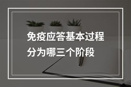 免疫应答基本过程分为哪三个阶段