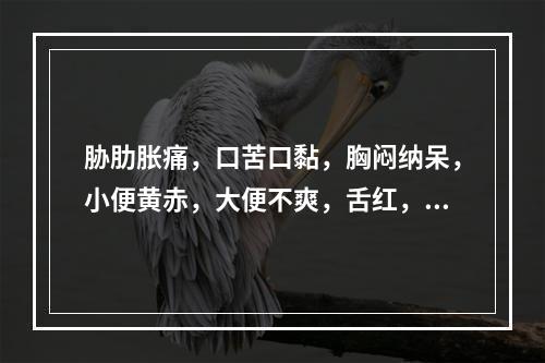 胁肋胀痛，口苦口黏，胸闷纳呆，小便黄赤，大便不爽，舌红，苔黄