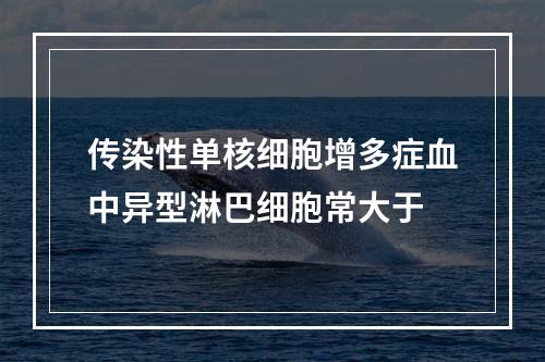 传染性单核细胞增多症血中异型淋巴细胞常大于