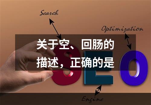 关于空、回肠的描述，正确的是