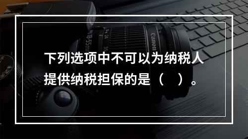 下列选项中不可以为纳税人提供纳税担保的是（　）。