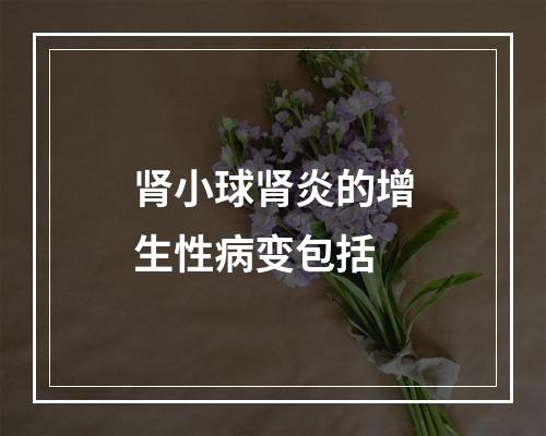 肾小球肾炎的增生性病变包括