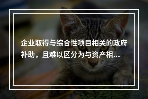 企业取得与综合性项目相关的政府补助，且难以区分为与资产相关的