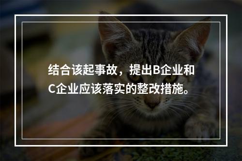 结合该起事故，提出B企业和C企业应该落实的整改措施。