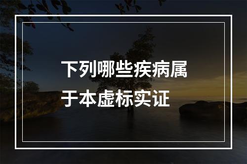 下列哪些疾病属于本虚标实证