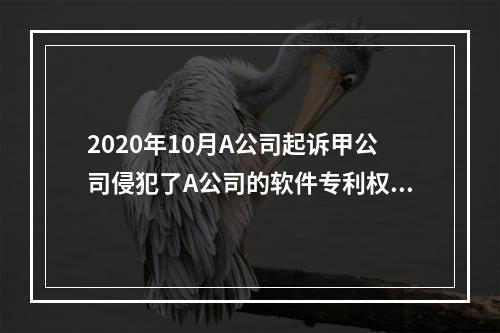 2020年10月A公司起诉甲公司侵犯了A公司的软件专利权，要