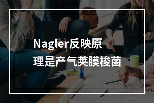 Nagler反映原理是产气荚膜梭菌