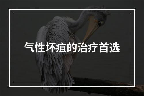 气性坏疽的治疗首选