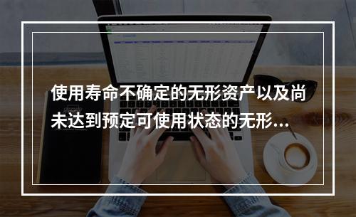 使用寿命不确定的无形资产以及尚未达到预定可使用状态的无形资产