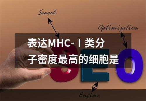 表达MHC-Ⅰ类分子密度最高的细胞是