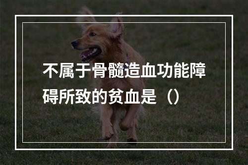 不属于骨髓造血功能障碍所致的贫血是（）