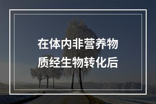 在体内非营养物质经生物转化后