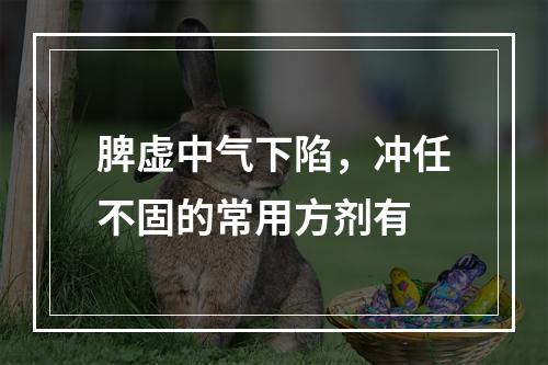 脾虚中气下陷，冲任不固的常用方剂有