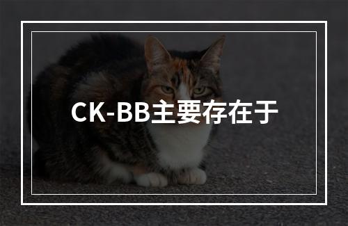 CK-BB主要存在于